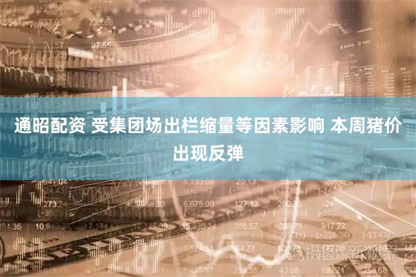 通昭配资 受集团场出栏缩量等因素影响 本周猪价出现反弹