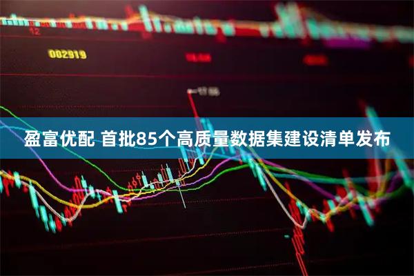 盈富优配 首批85个高质量数据集建设清单发布