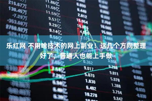 乐红网 不用啥技术的网上副业！这几个方向整理好了，普通人也能上手做