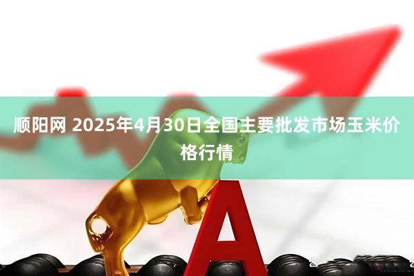 顺阳网 2025年4月30日全国主要批发市场玉米价格行情