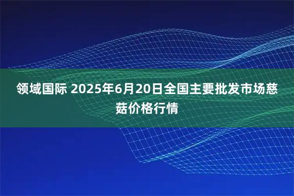 领域国际 2025年6月20日全国主要批发市场慈菇价格行情
