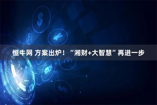 恒牛网 方案出炉！“湘财+大智慧”再进一步
