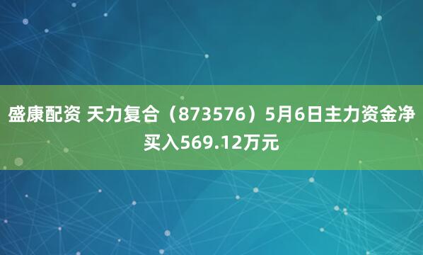 盛康配资 天力复合(873576)5月6日主力资金净买入569.12万元