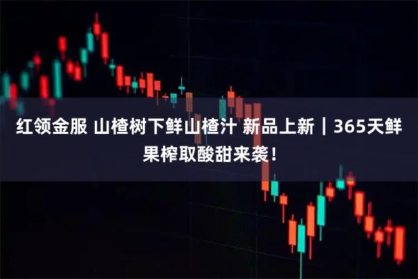 红领金服 山楂树下鲜山楂汁 新品上新｜365天鲜果榨取酸甜来袭！