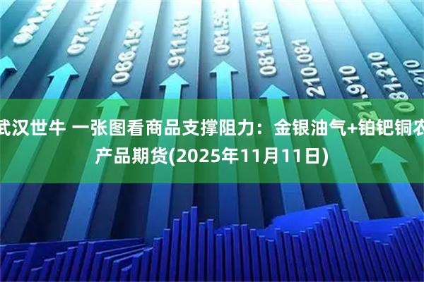 武汉世牛 一张图看商品支撑阻力：金银油气+铂钯铜农产品期货(2025年11月11日)